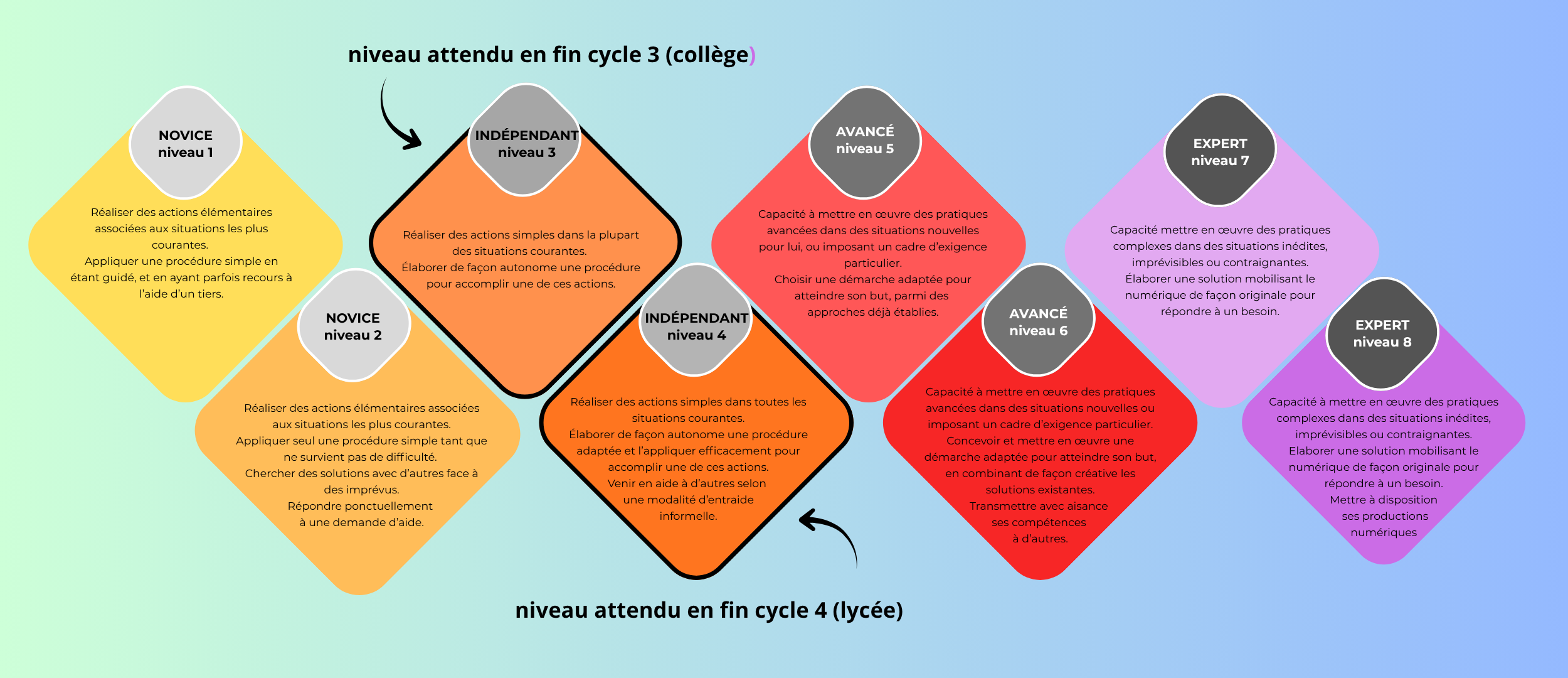 CRCN_niveauxattendu-seuil