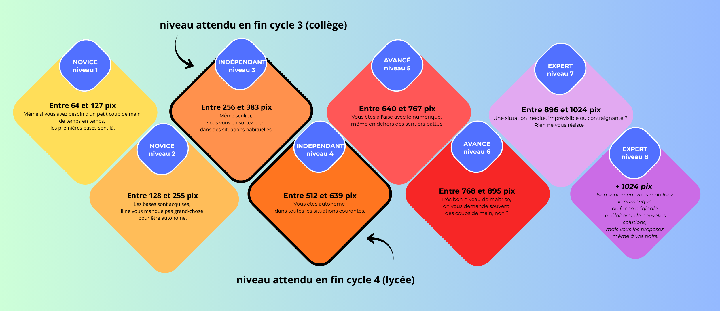 CRCN_niveauxattendus_Pix_V2